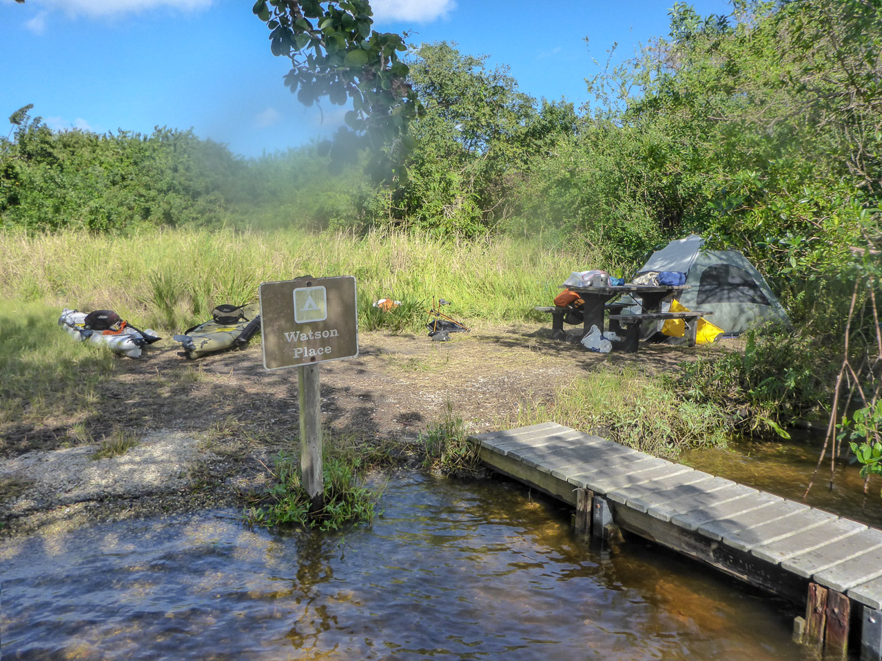 Everglades 2016 73