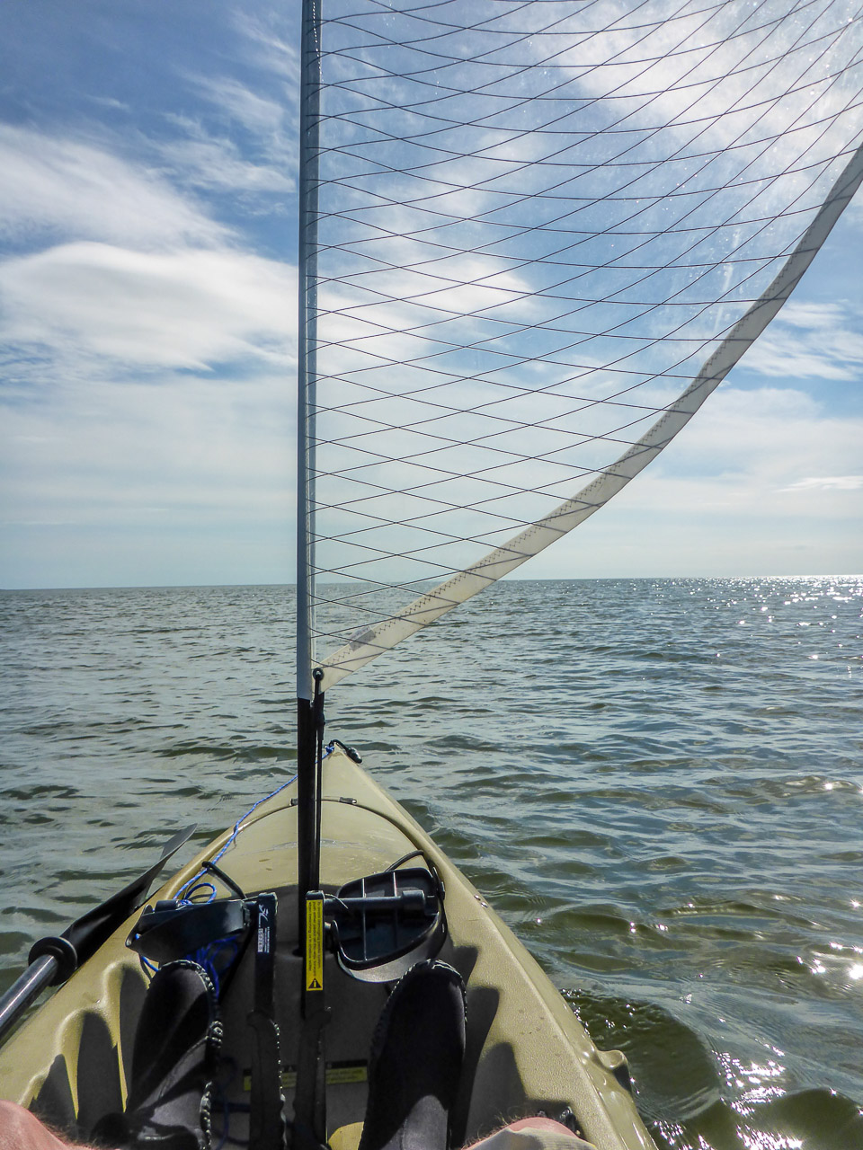 Everglades 2016 9