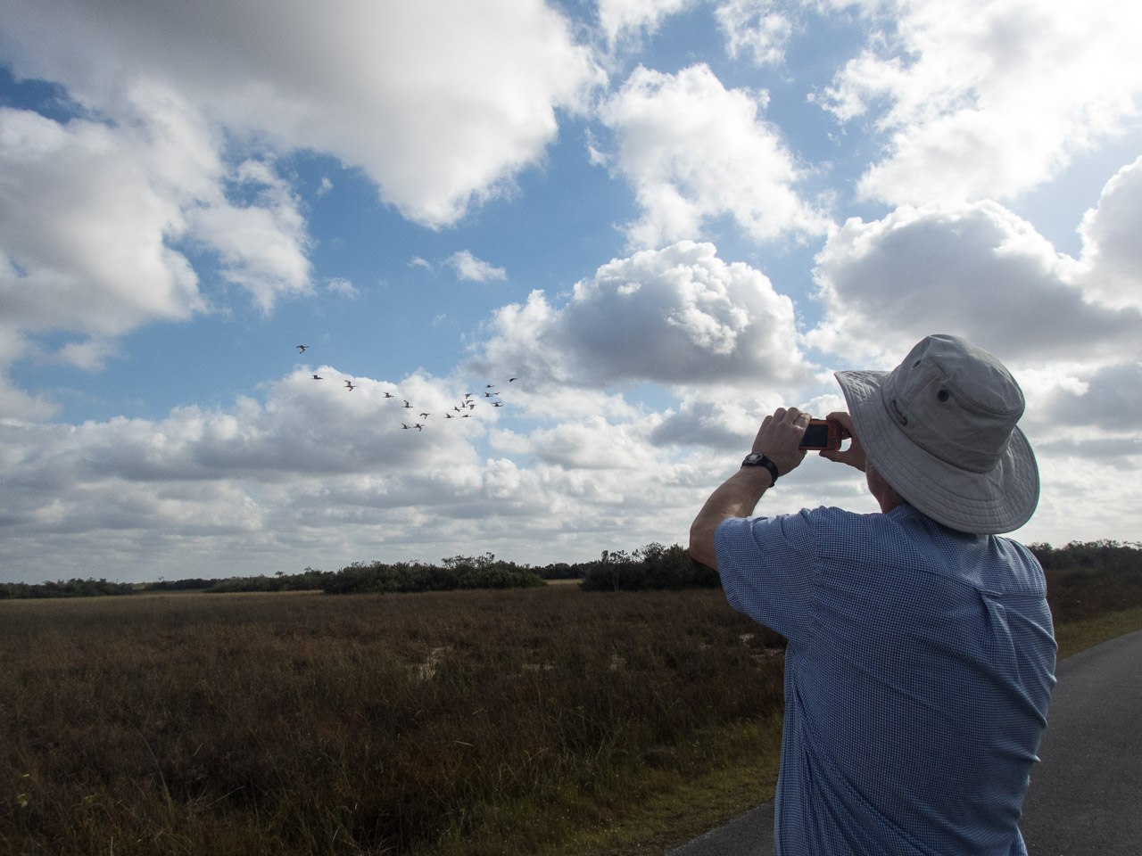 Everglades 2017 131
