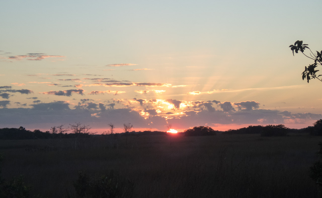 Everglades 2017 133