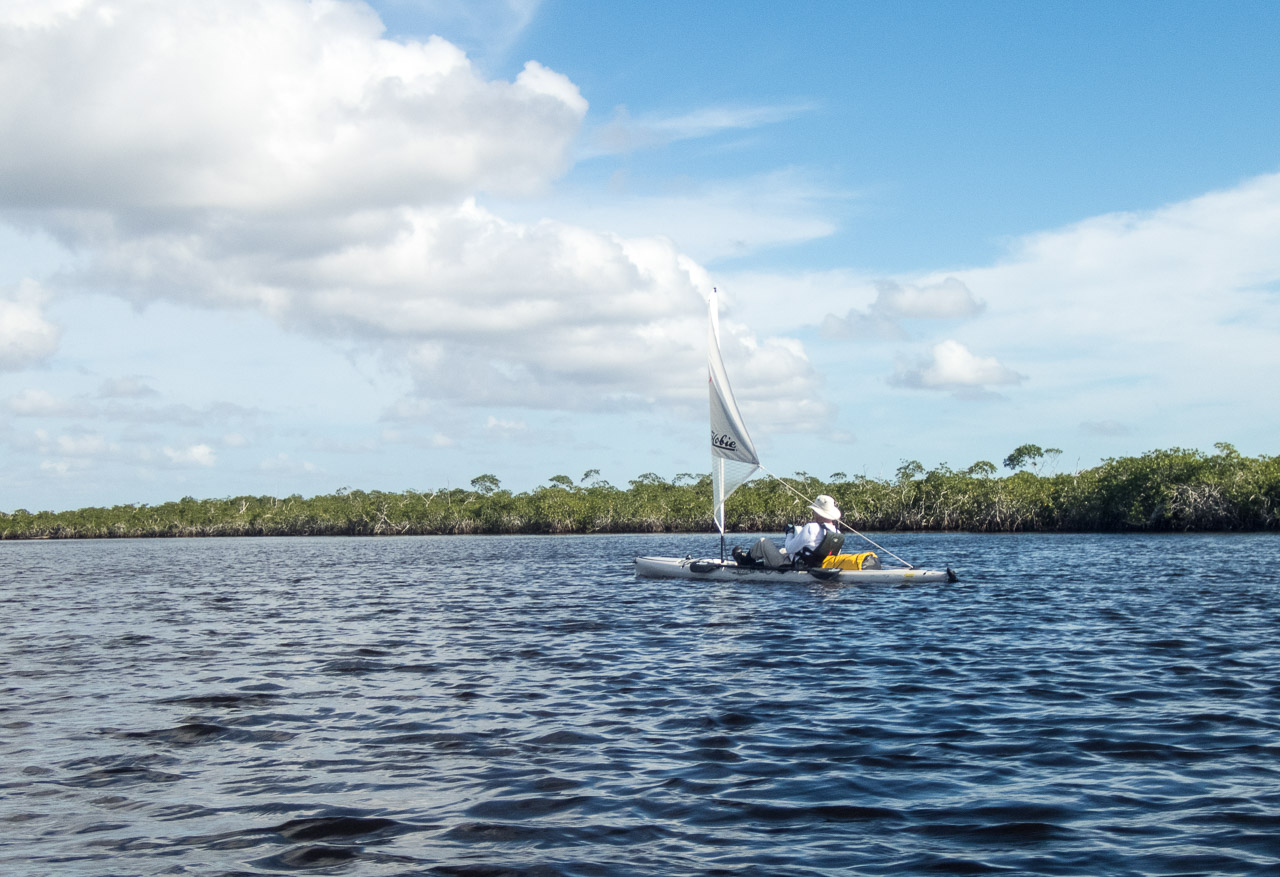 Everglades 2017 14