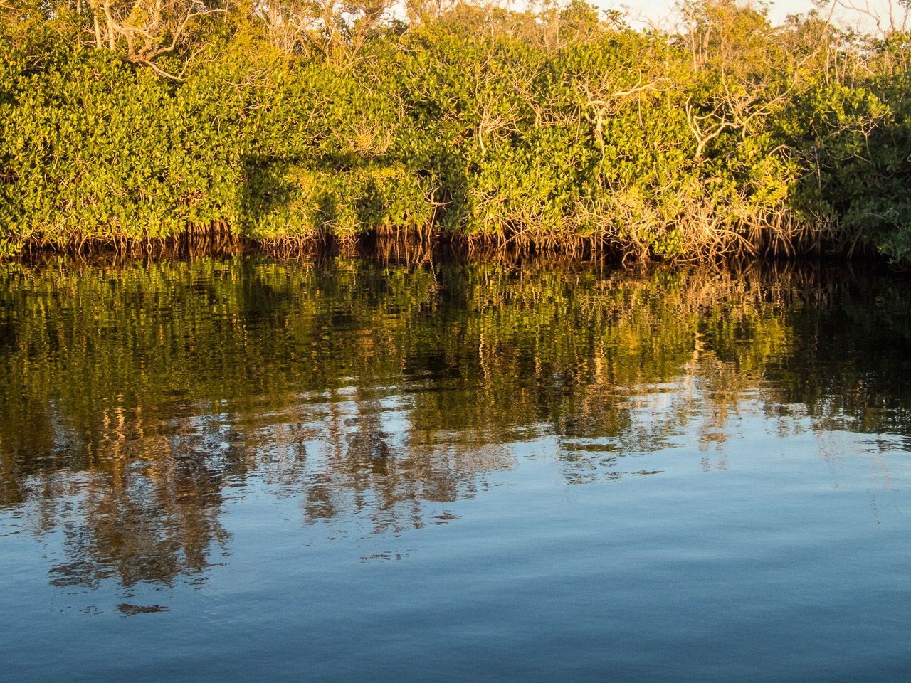 Everglades 2017 16