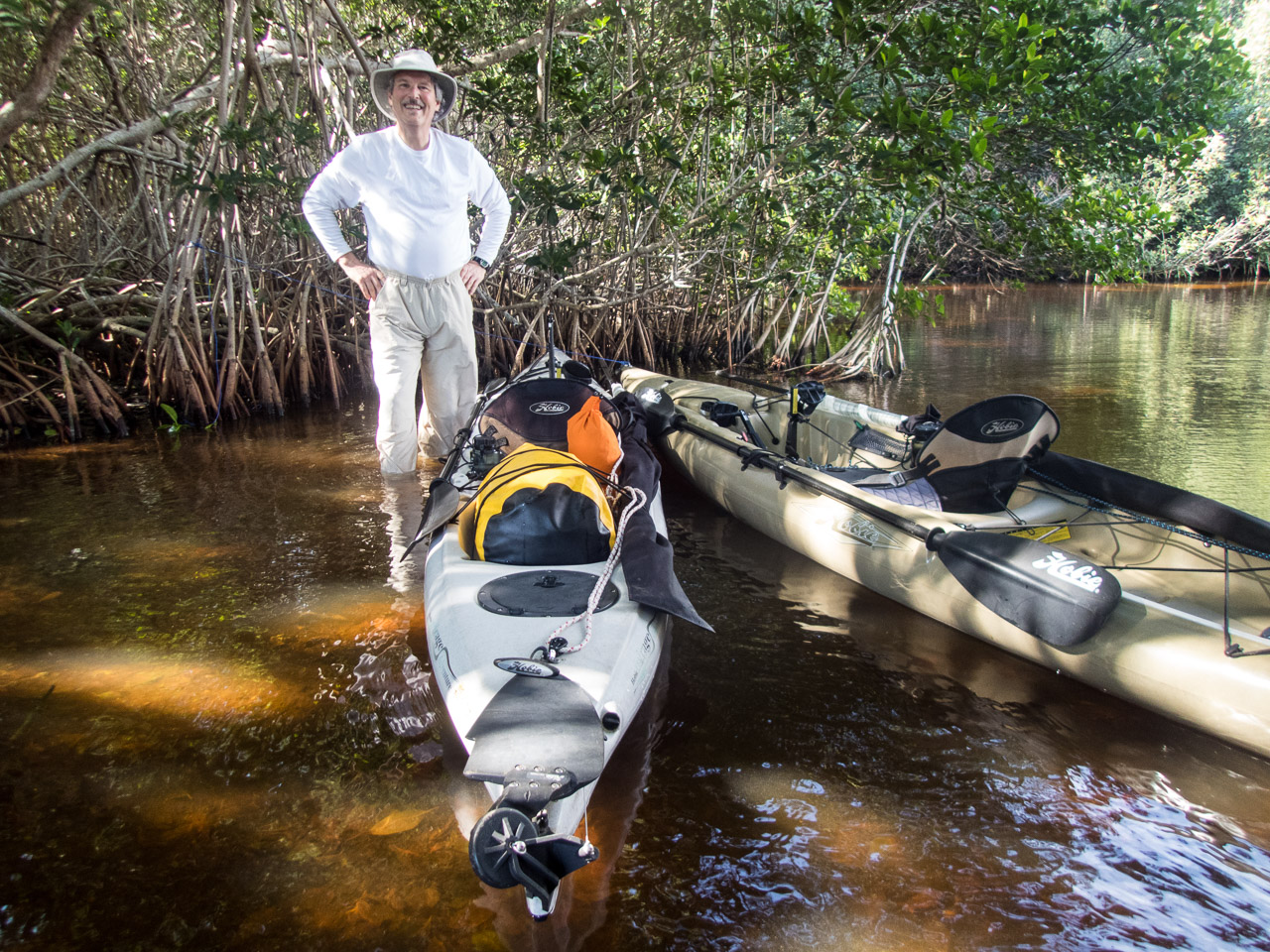 Everglades 2017 2