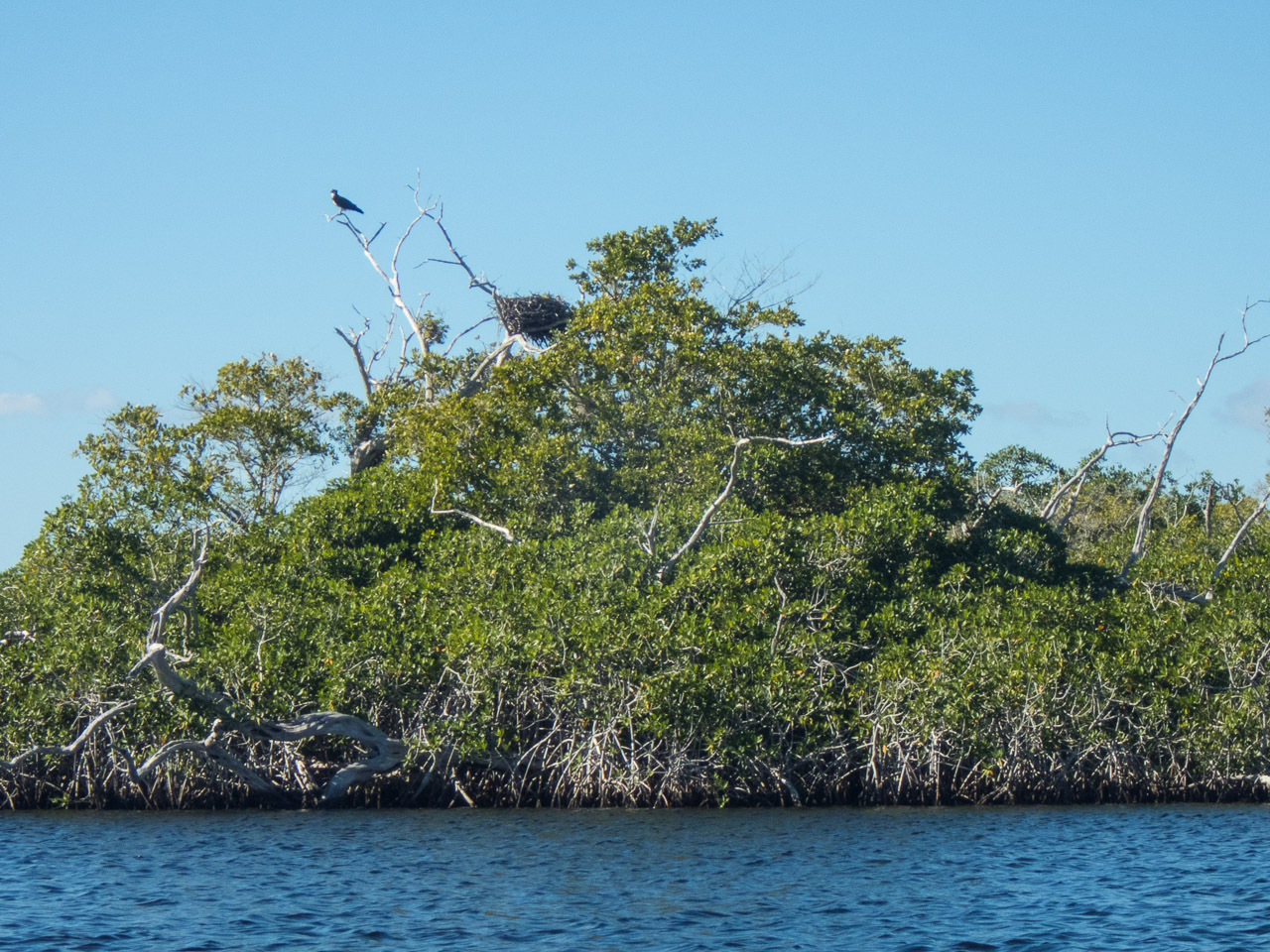 Everglades 2017 24