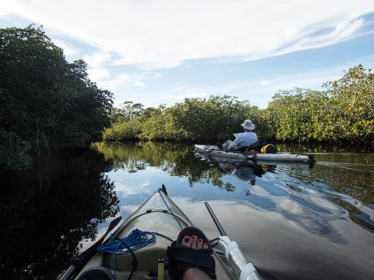 Everglades 2017 26