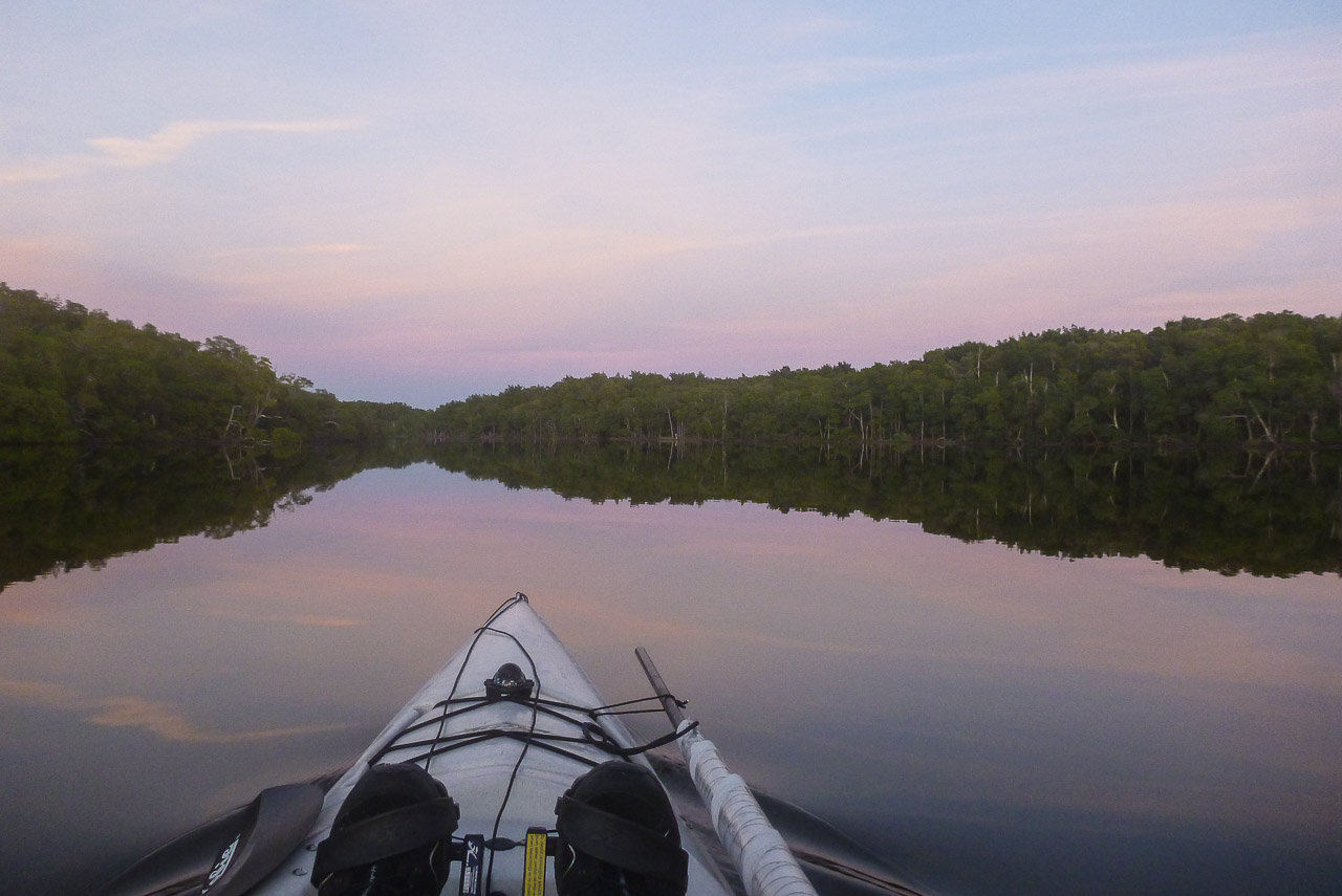 Everglades 2017 28
