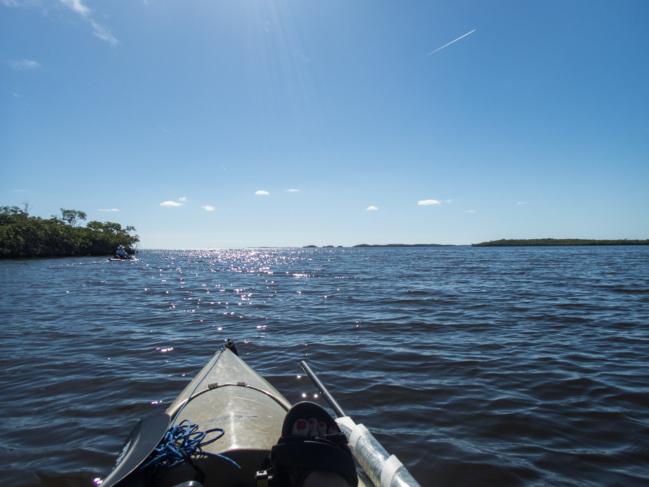 Everglades 2017 42