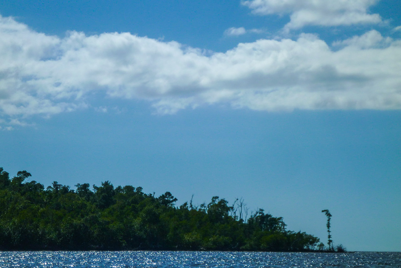 Everglades 2017 43