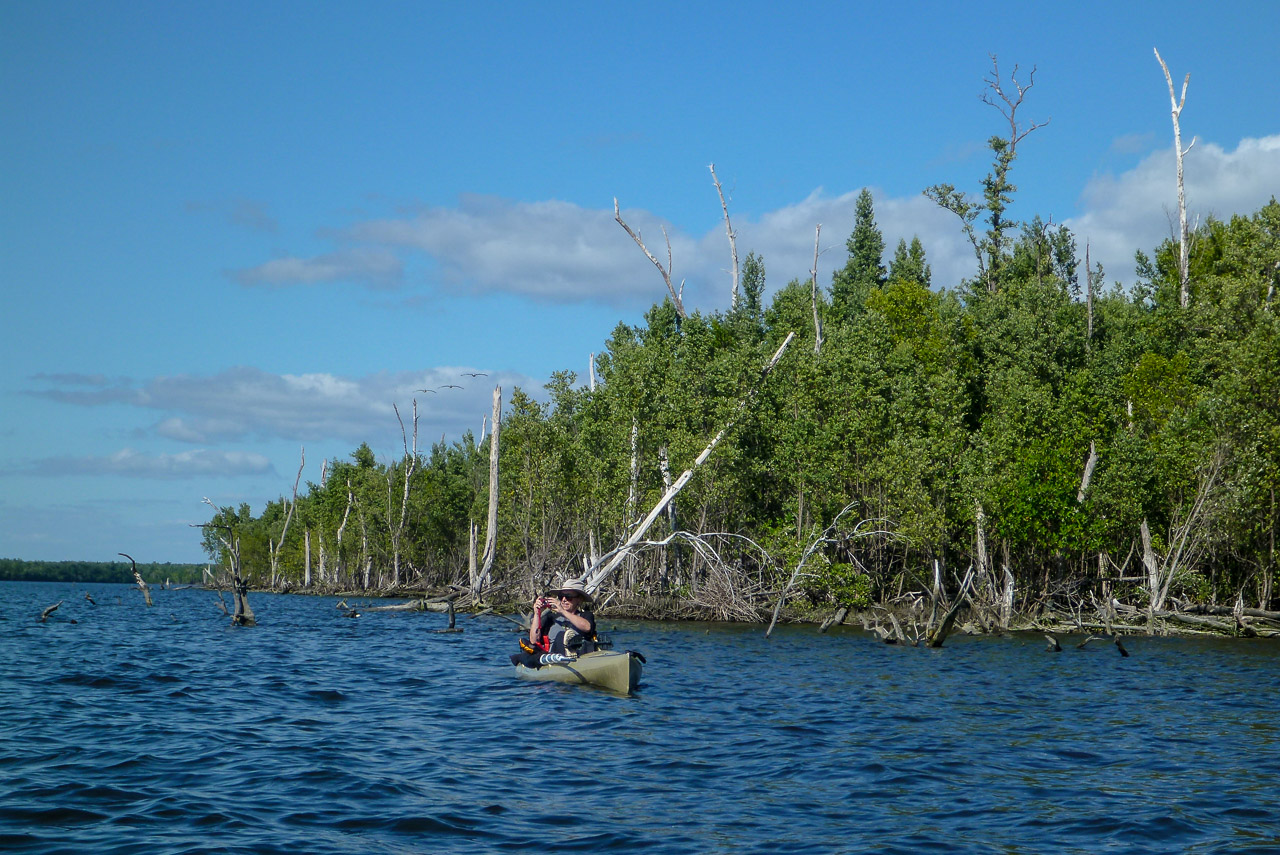 Everglades 2017 44
