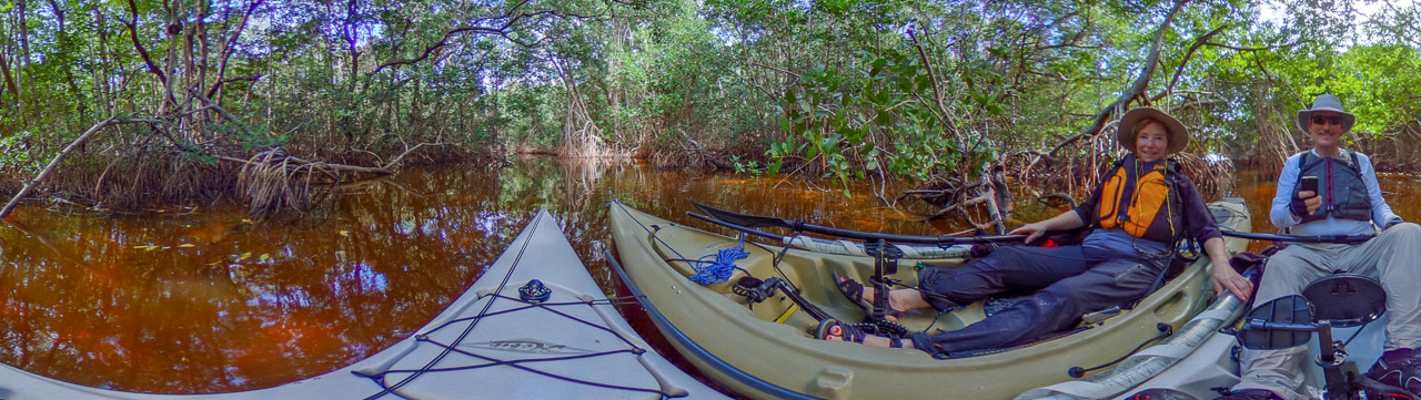 Everglades 2017 6