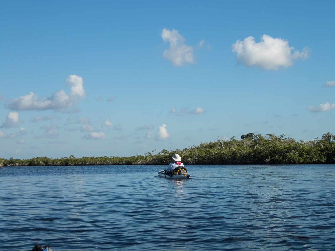 Everglades 2017 63