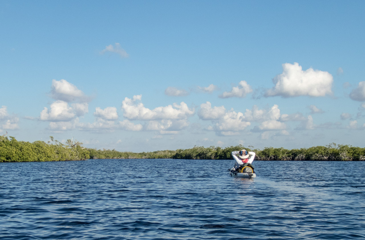 Everglades 2017 64