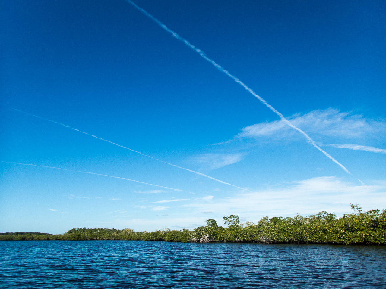 Everglades 2017 70