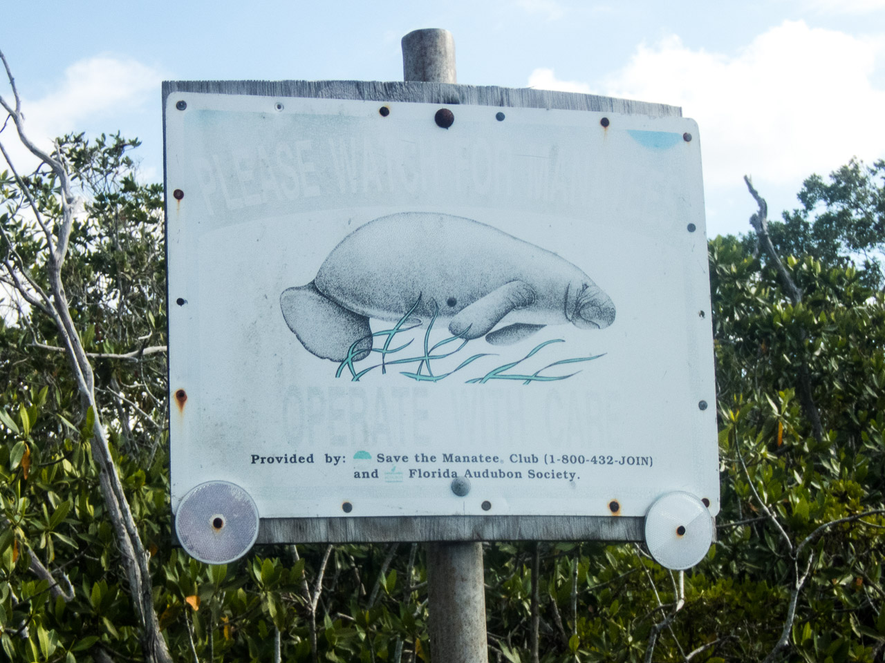 Everglades 2017 71