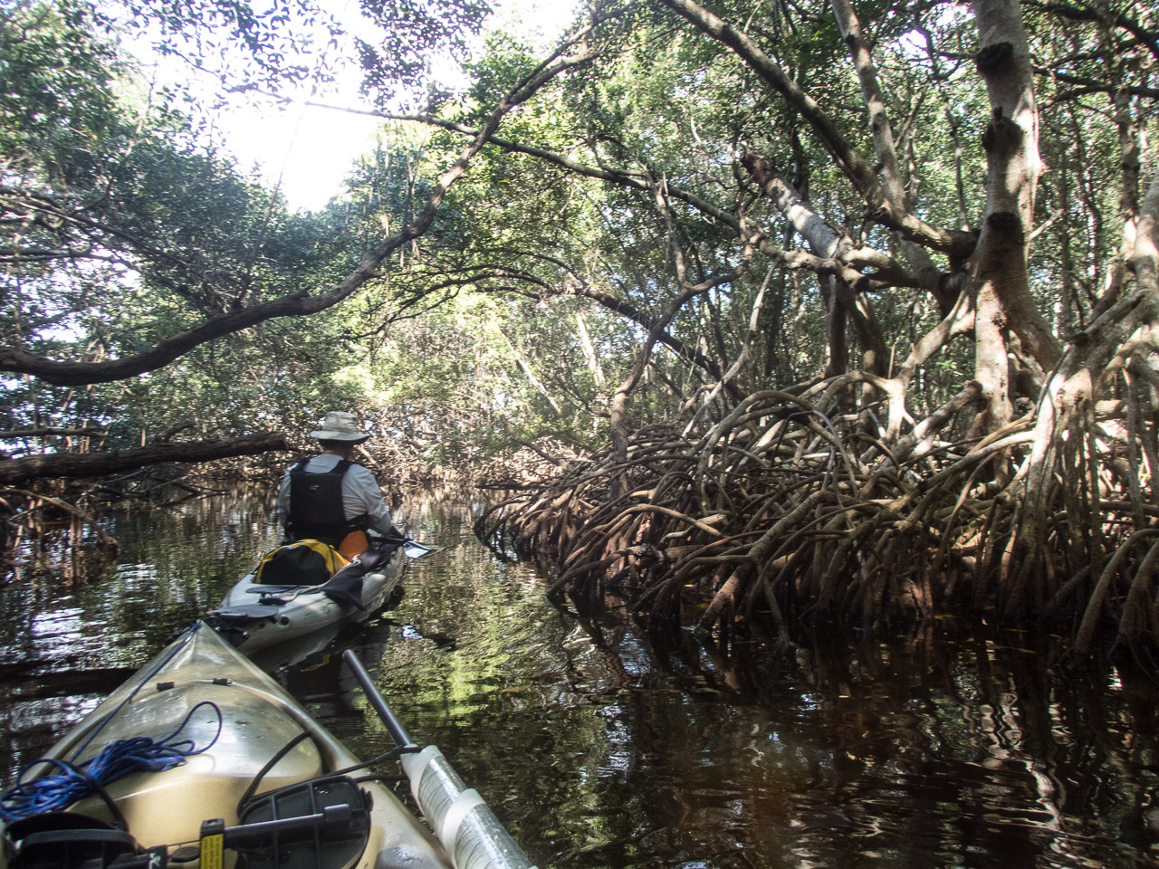 Everglades 2017 8