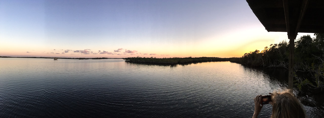 Everglades 2017 81
