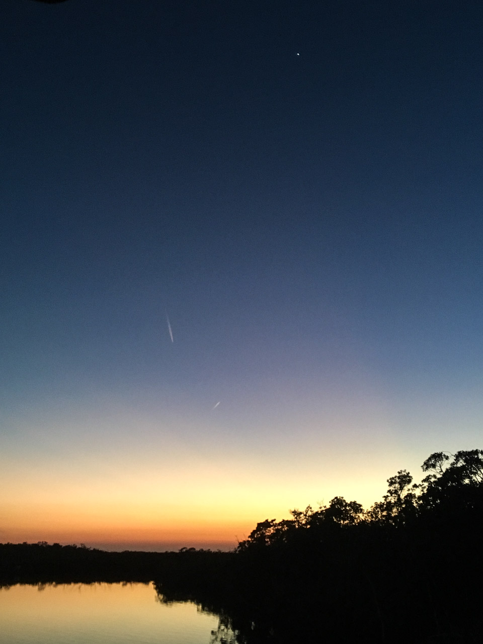 Everglades 2017 82