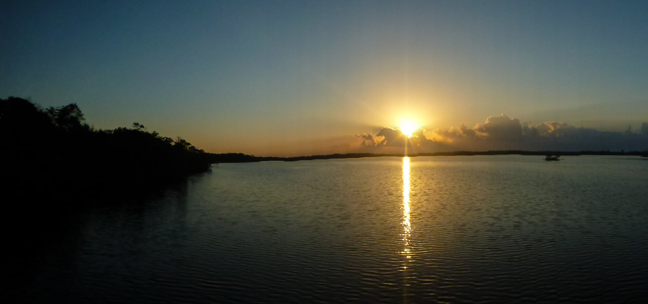Everglades 2017 83