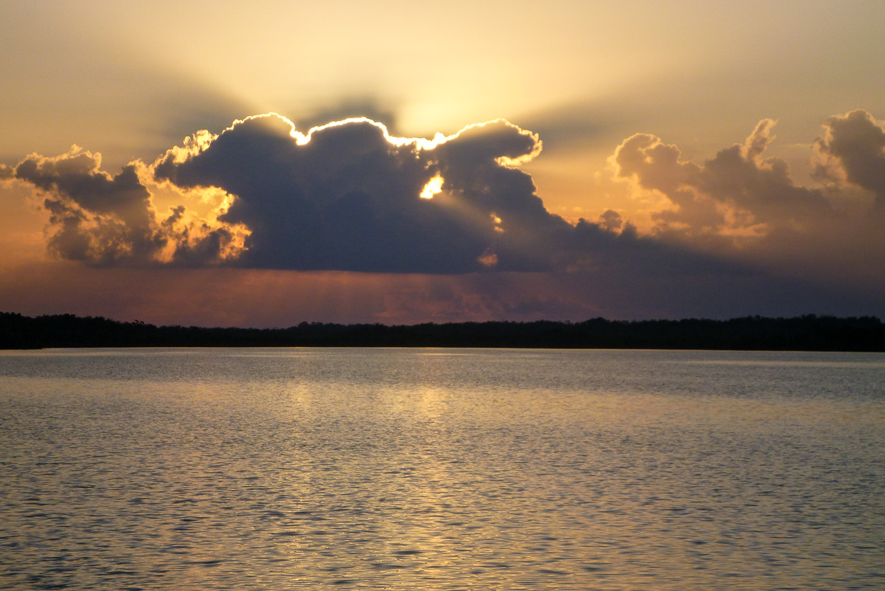Everglades 2017 84