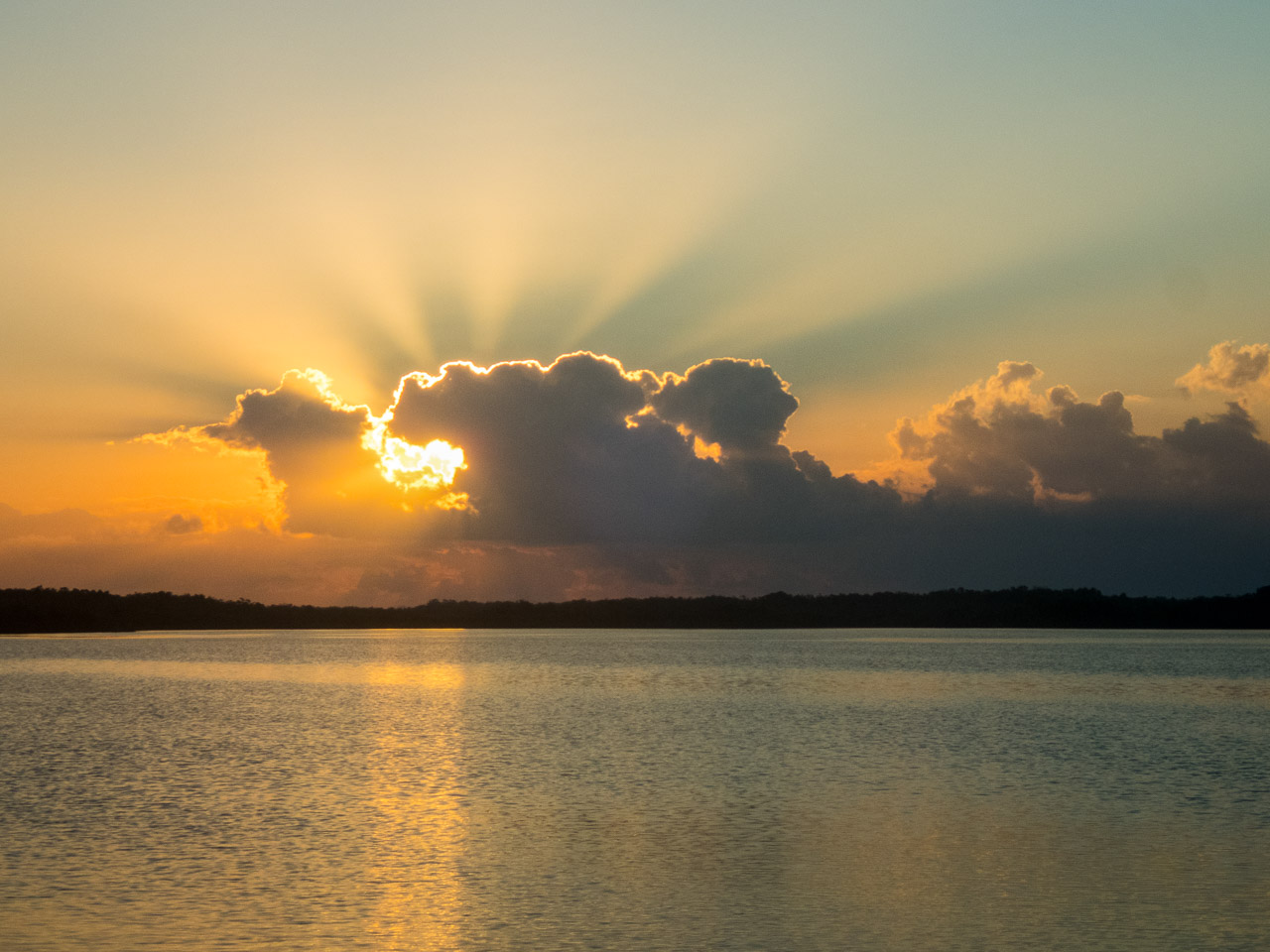 Everglades 2017 85