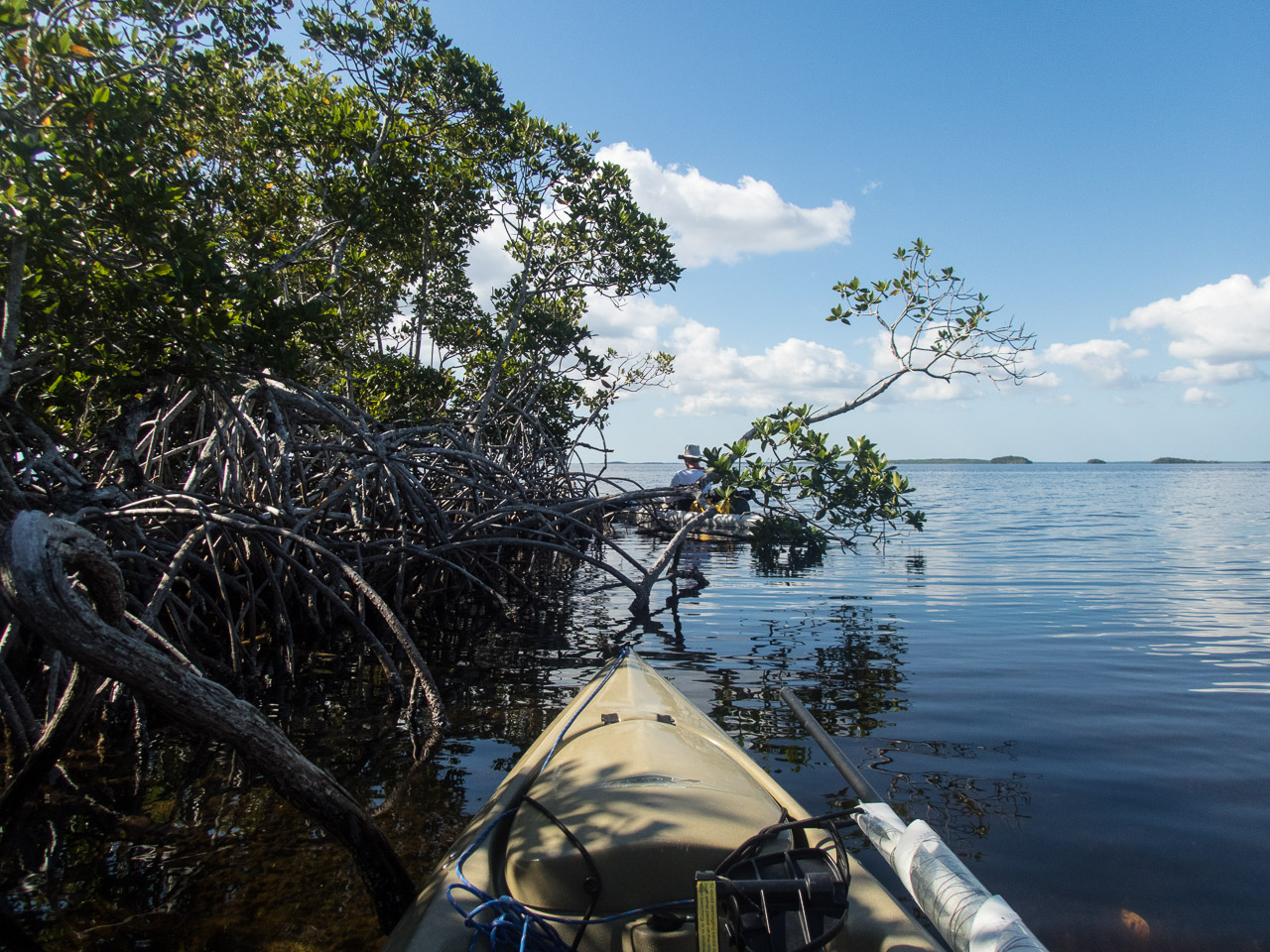Everglades 2017 88
