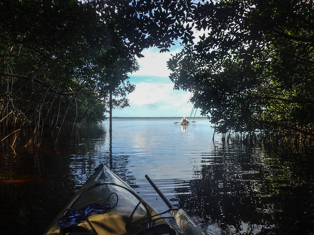 Everglades 2017 9