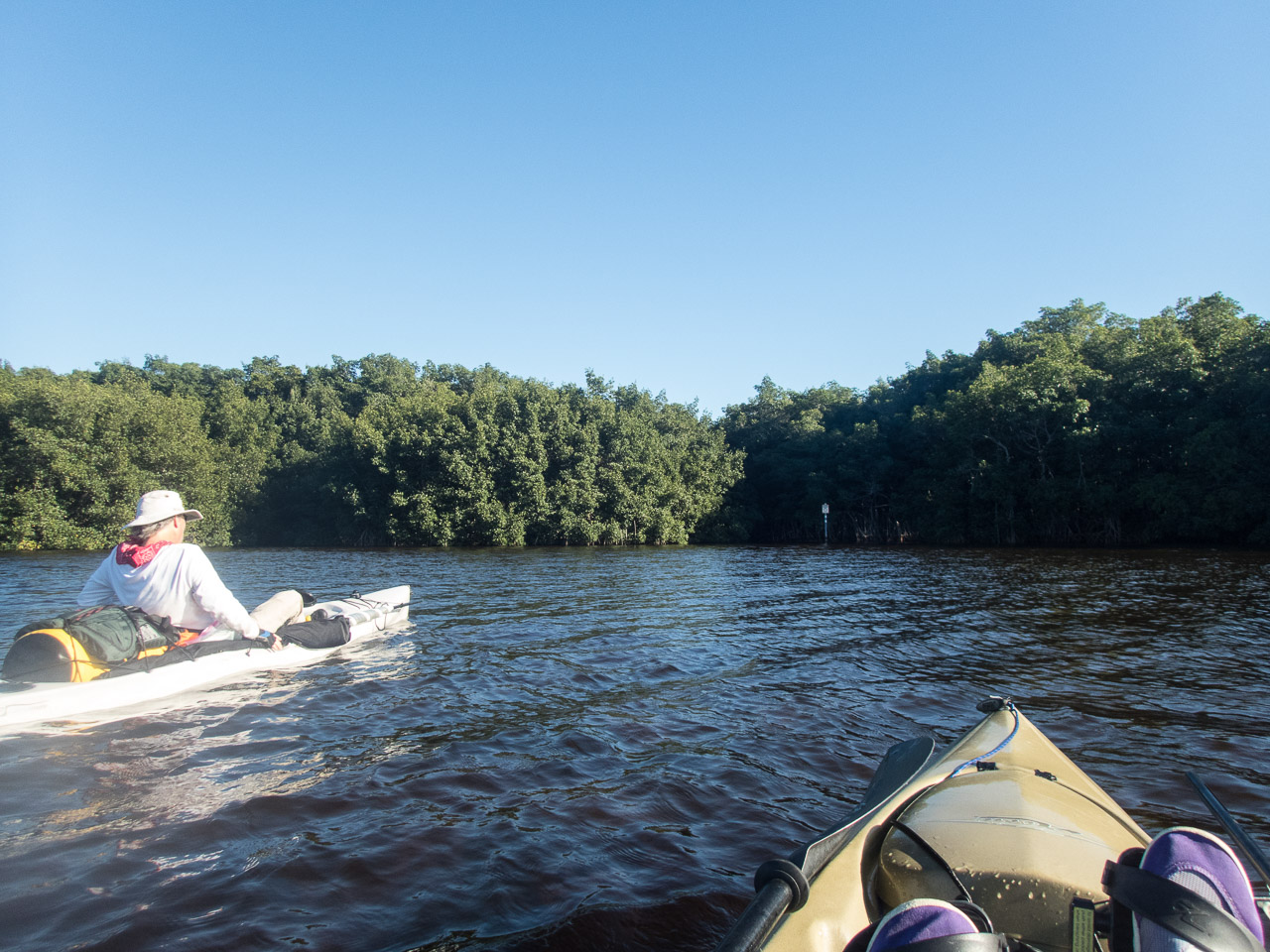 Everglades 2017 90