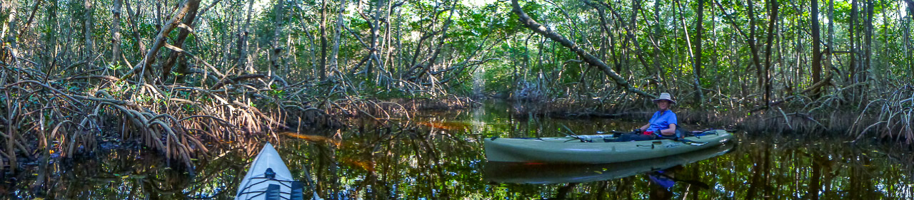 Everglades 2017 92
