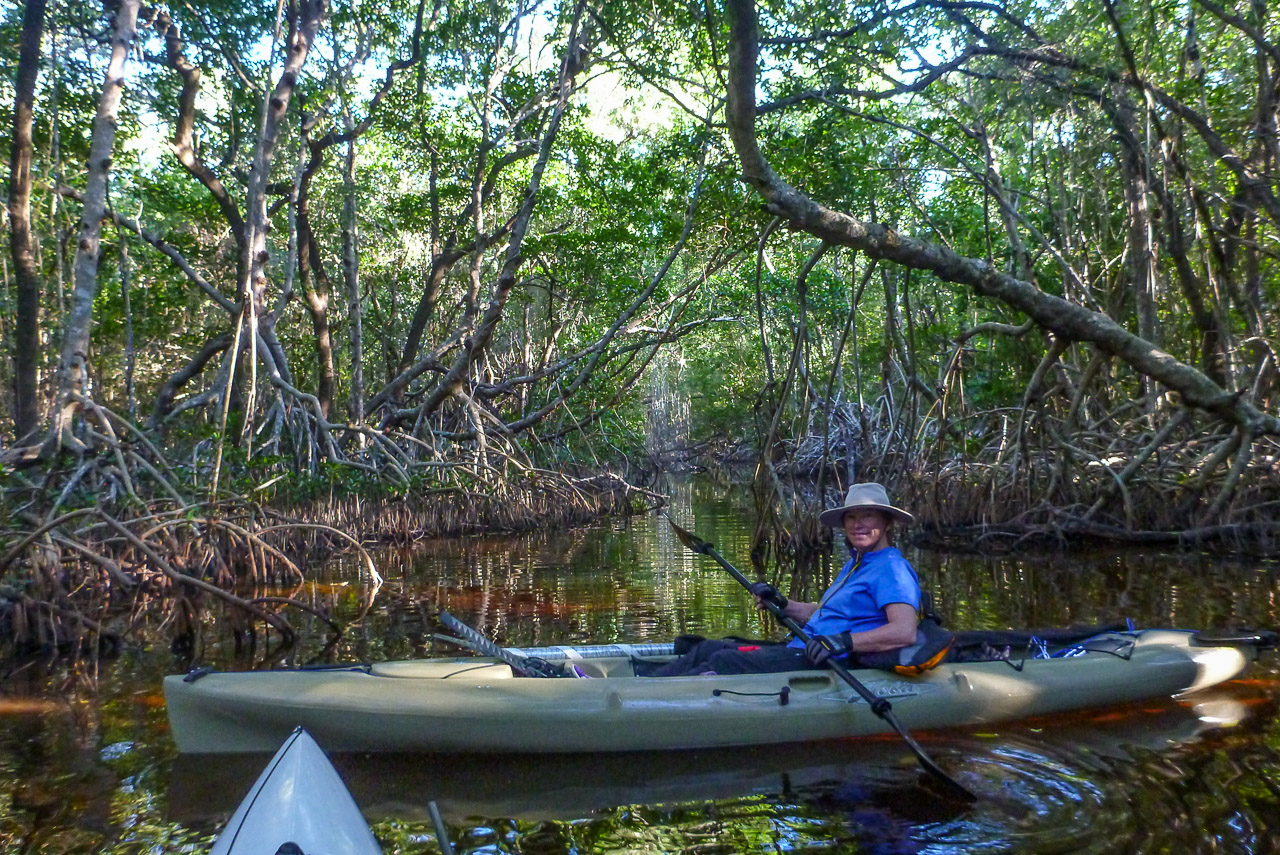 Everglades 2017 93