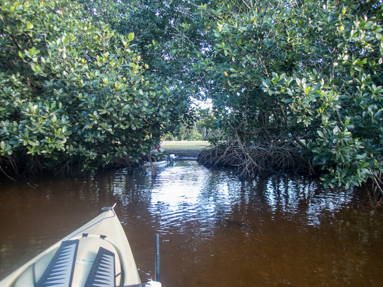Everglades 2017 94