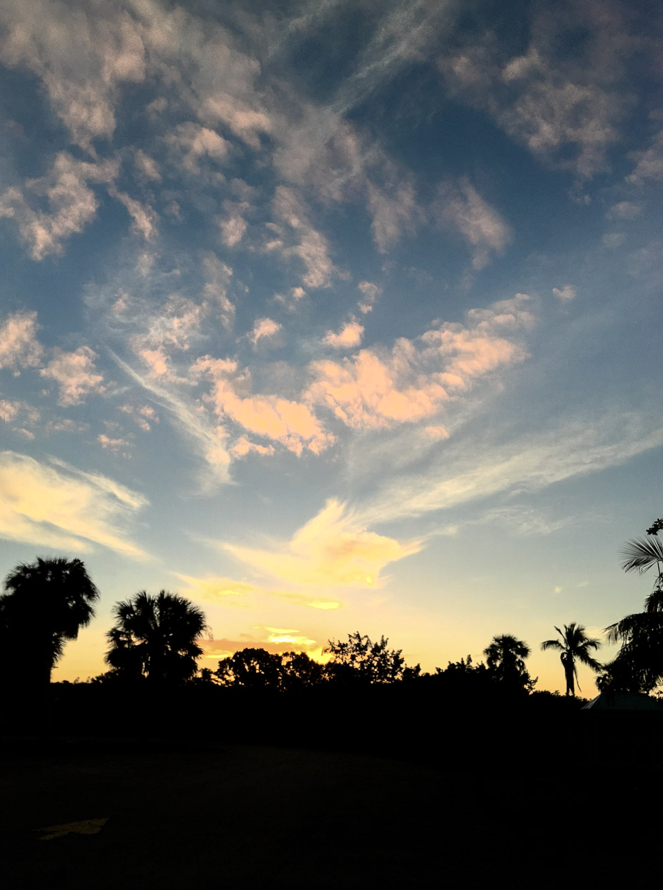 Everglades 2017 95