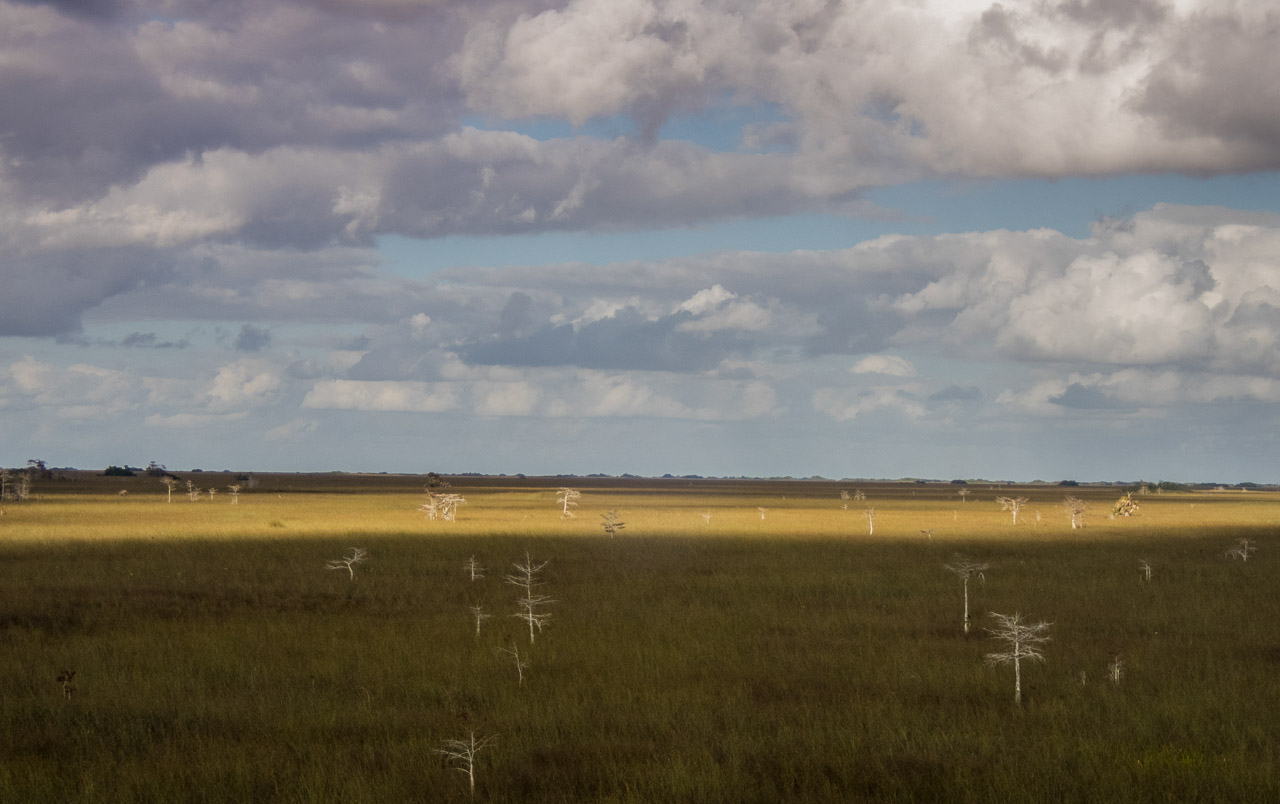 Everglades 2017 97