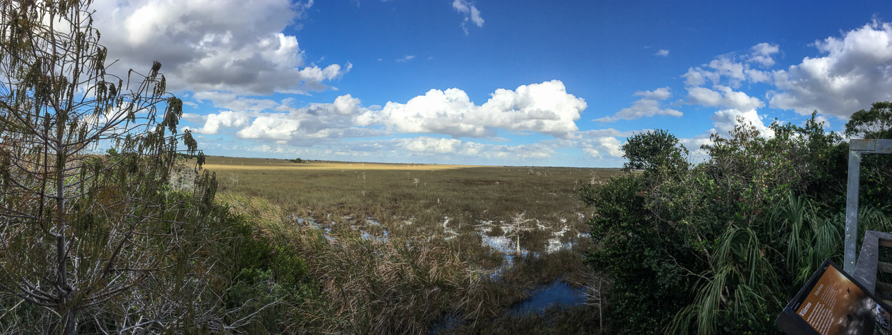 Everglades 2017 98
