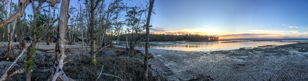 Everglades 2018 18