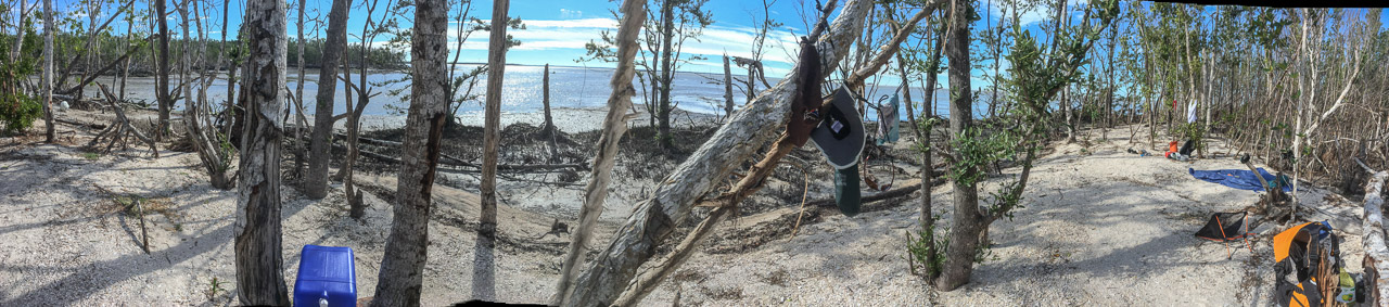 Everglades 2018 19