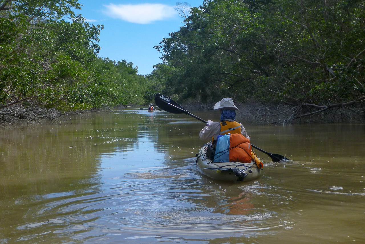 Everglades 2018 21