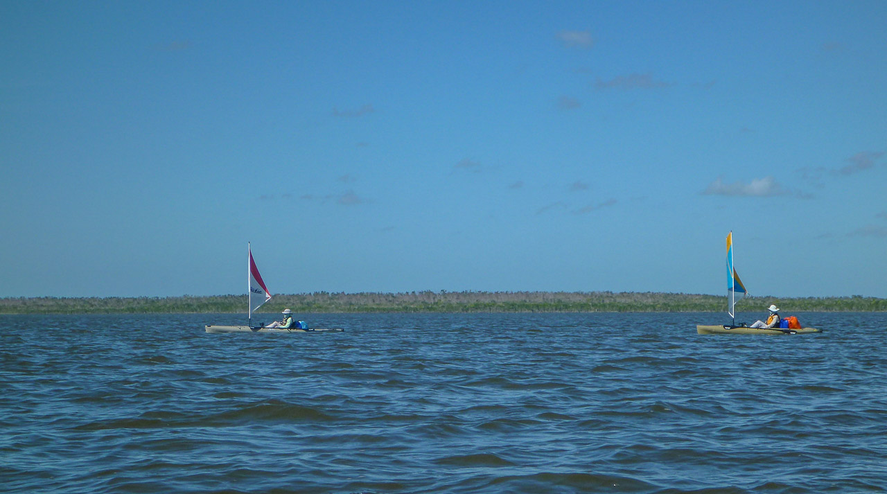 Everglades 2018 30