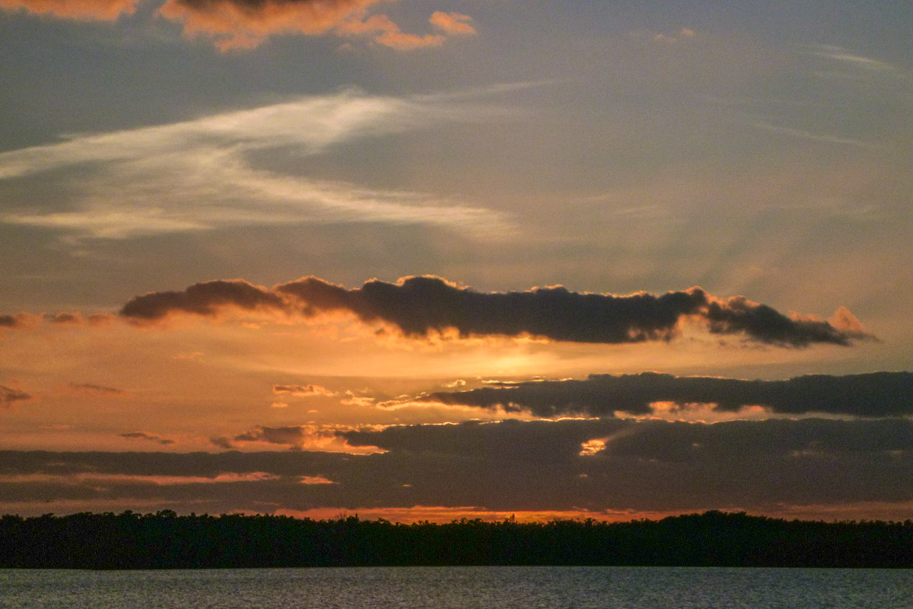 Everglades 2018 36