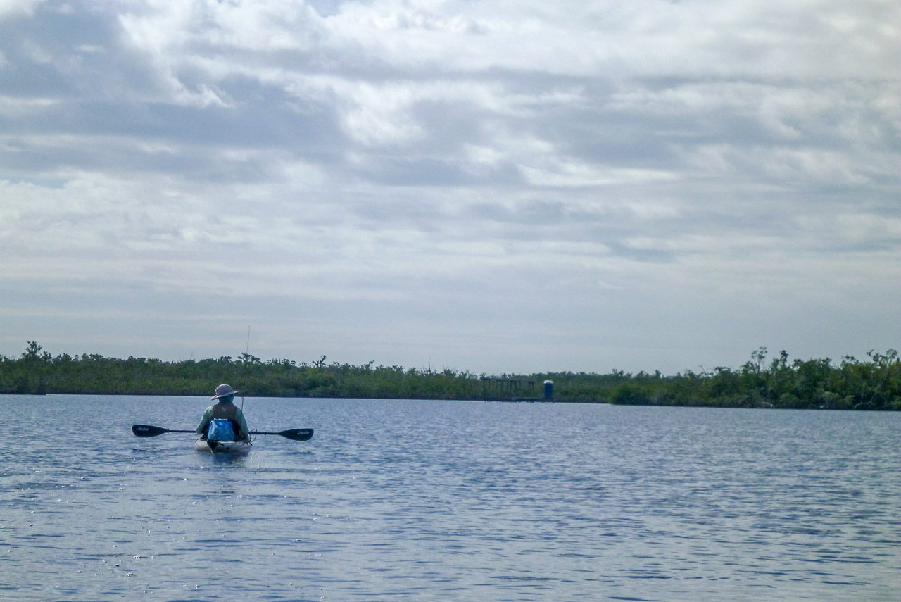 Everglades 2018 38