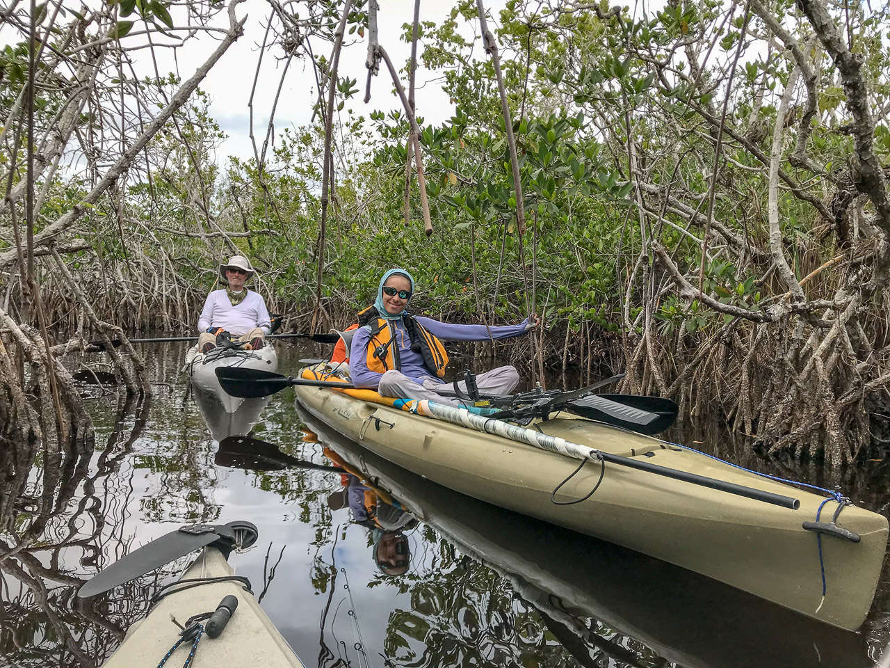 Everglades 2018 39