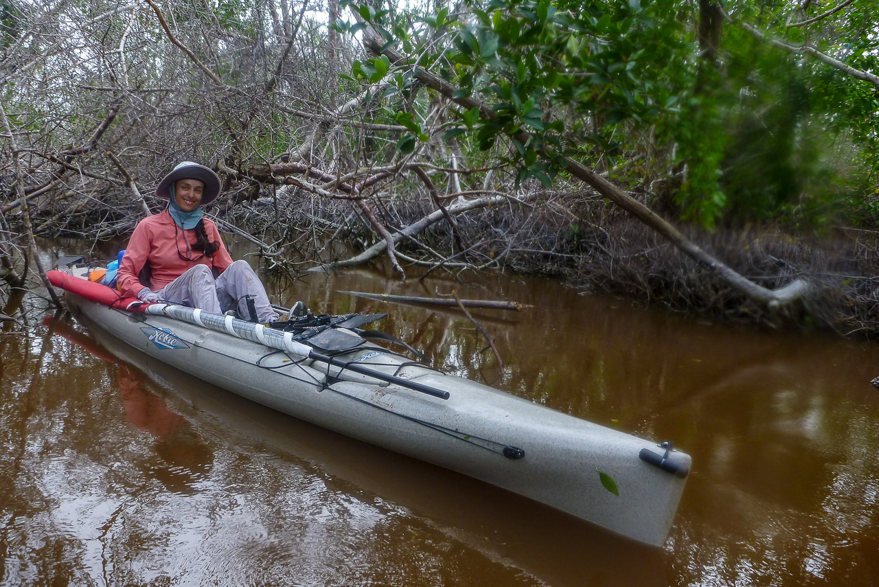 Everglades 2018 4