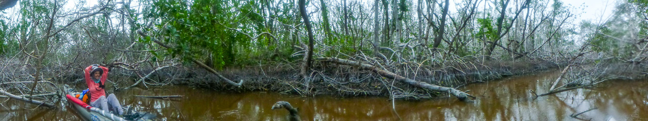 Everglades 2018 5