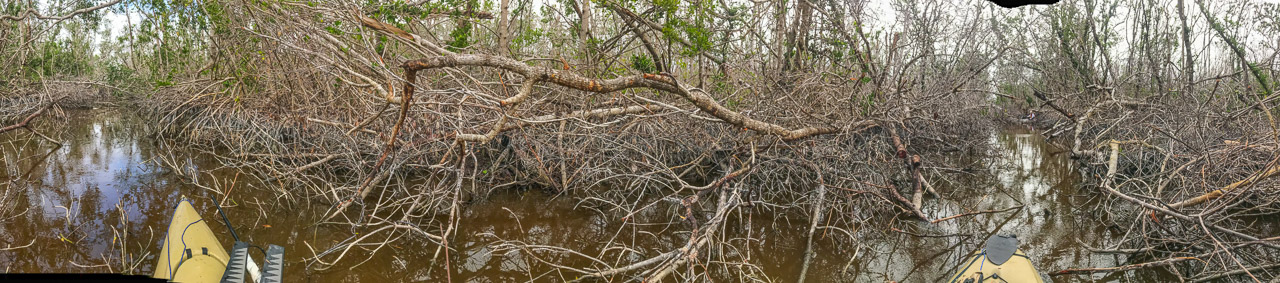 Everglades 2018 6