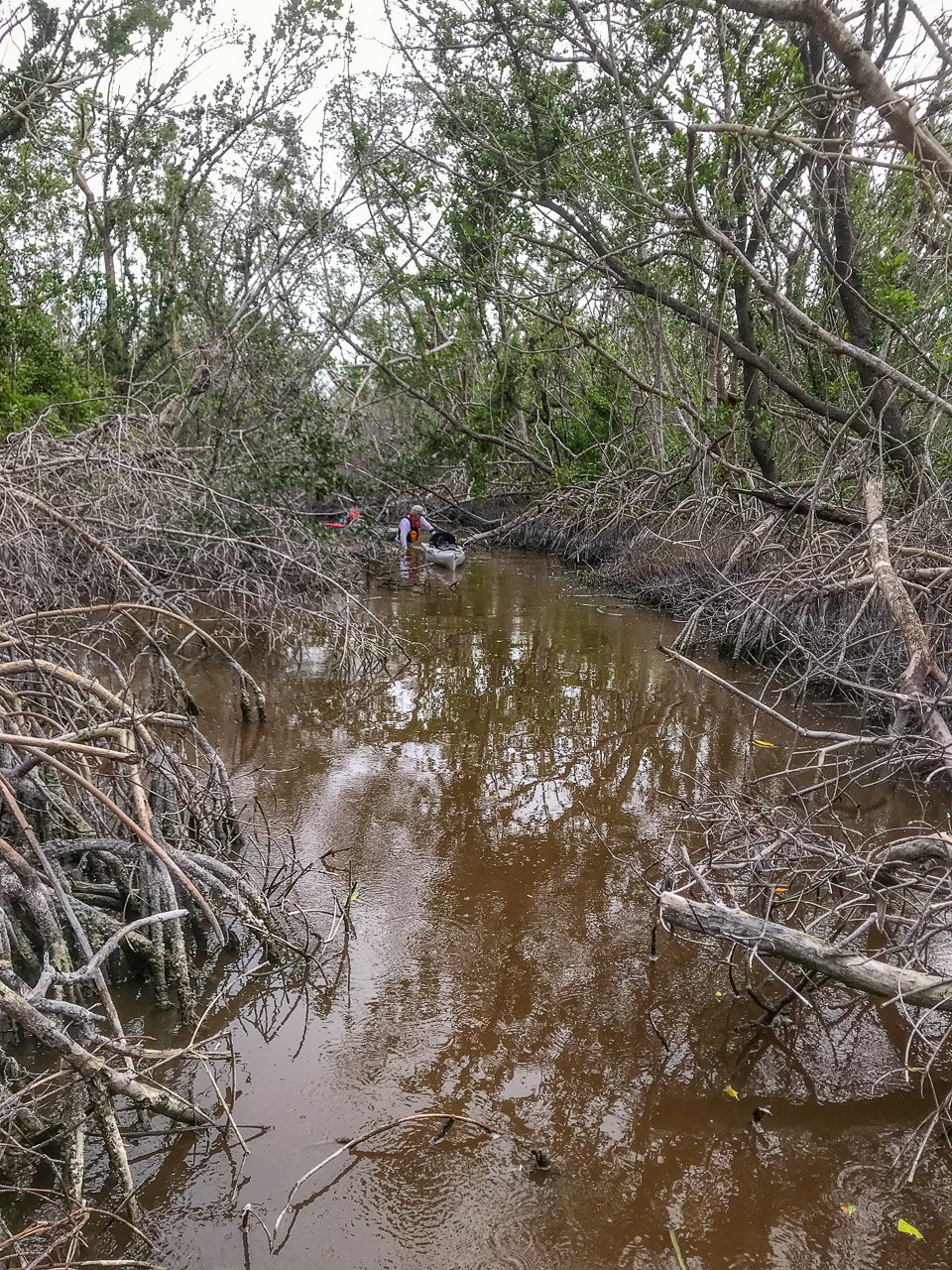 Everglades 2018 7