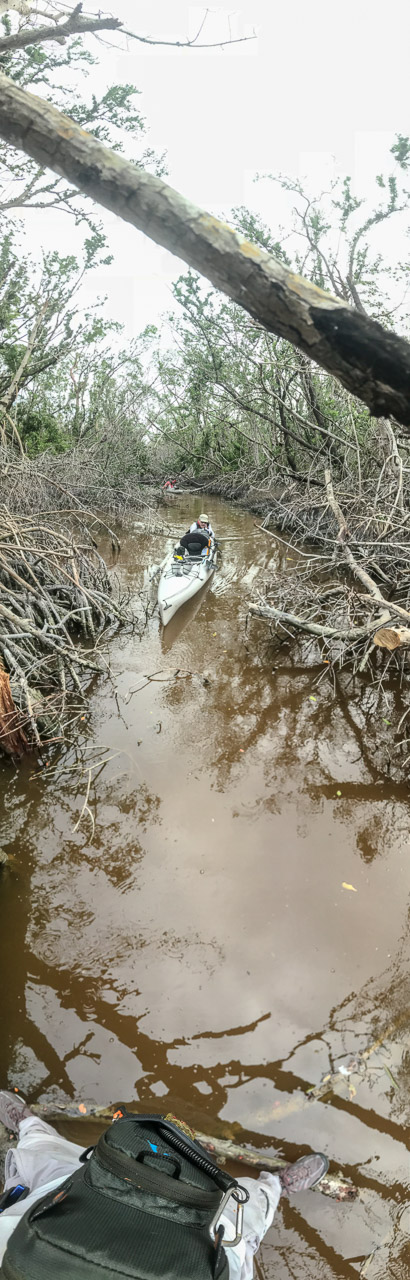 Everglades 2018 8