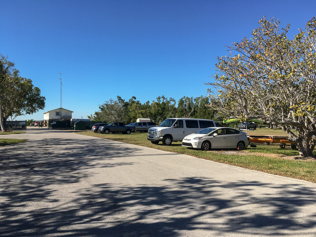 Everglades 004 2019 Ksyf8126