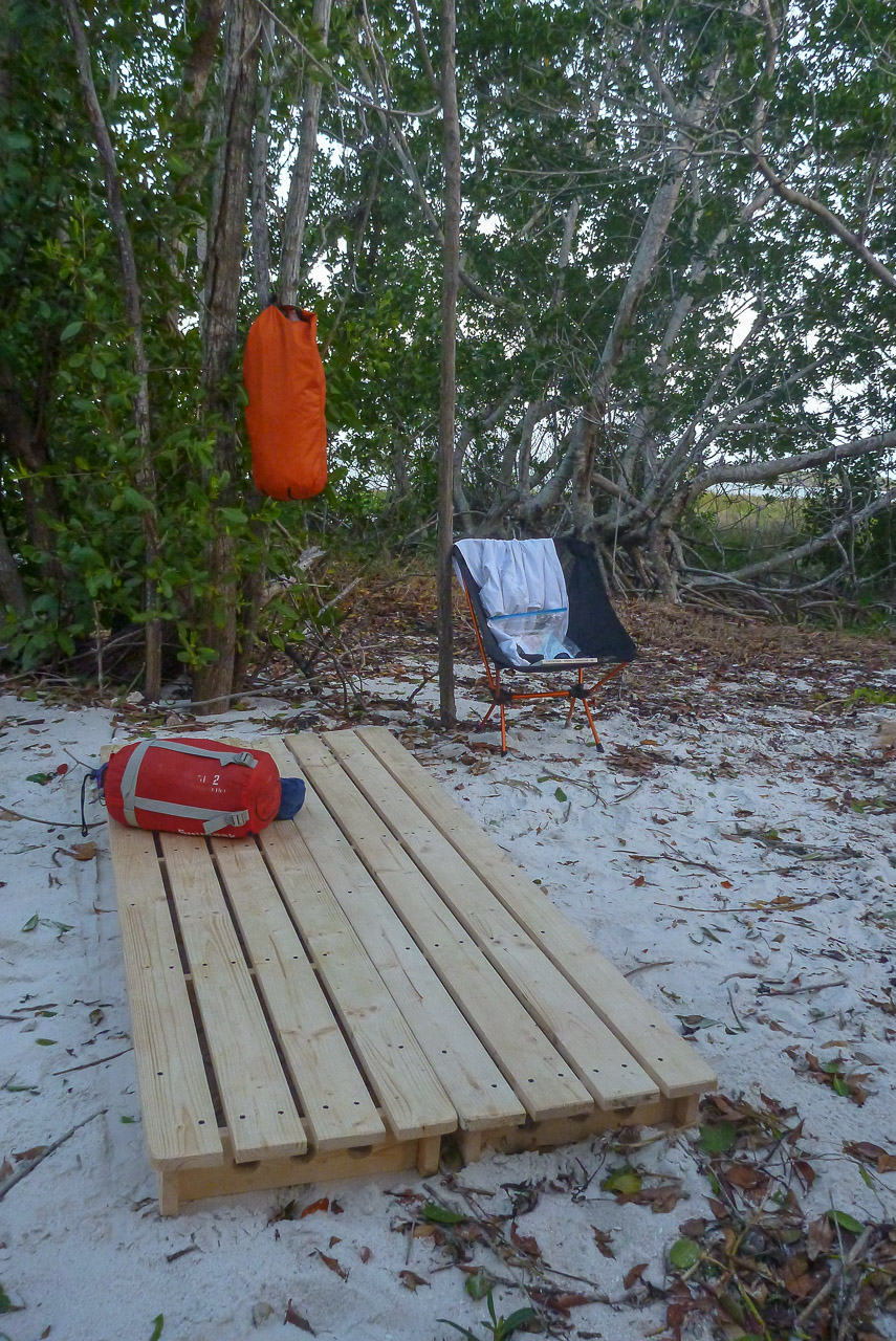 Everglades 019 2019 P1020180