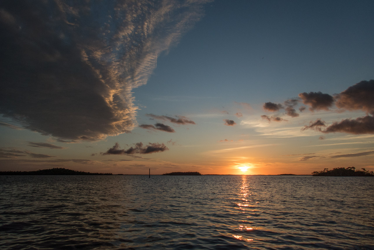 Everglades 2020 12