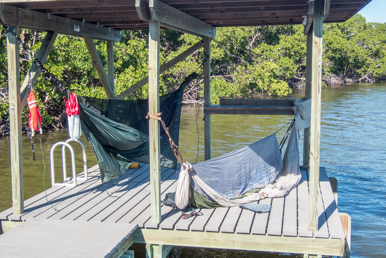 Everglades 2020 16