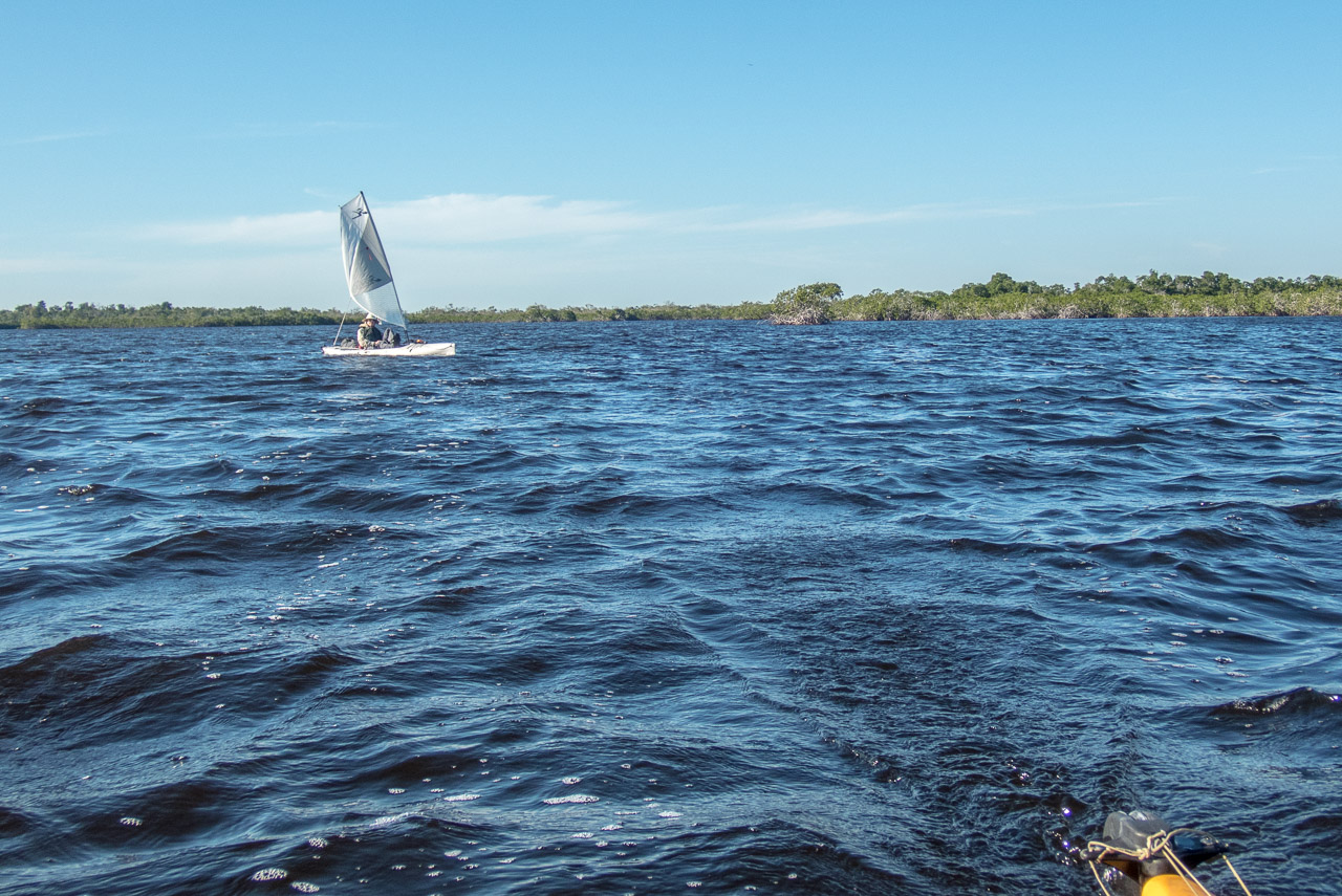 Everglades 2020 20